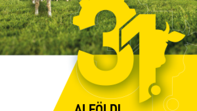 300x600px